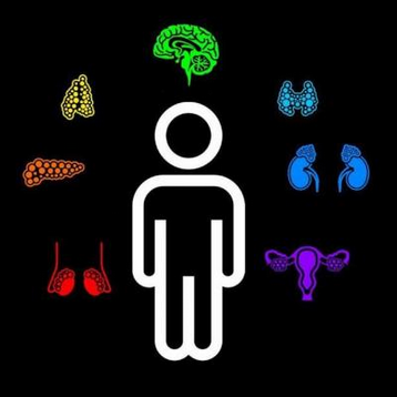 [Анастасия Семко] Физиология выделительной системы_0.png